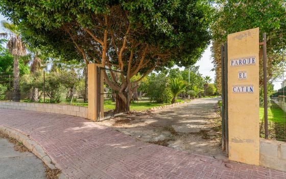 Villa de 4 chambres à Los Altos - RPF132093 - Photo - Small - 32