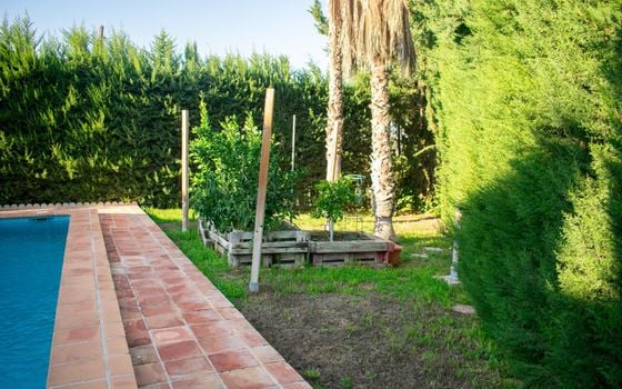 Villa de 5 chambres à Murcia - SV113980 - Photo - Small - 45