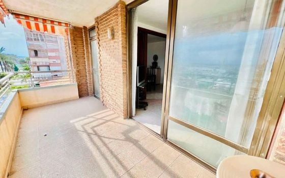 Appartement de 4 chambres à Torrevieja - DPR114570 - Photo - Small - 13