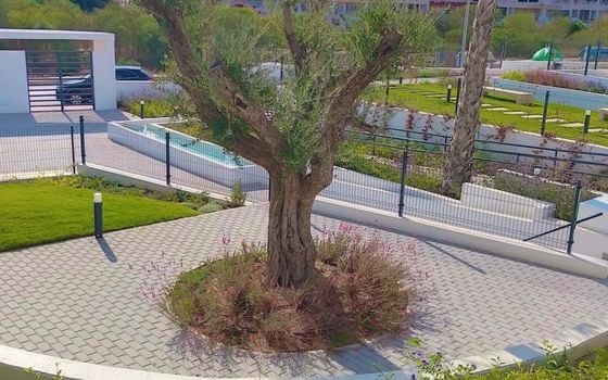 2 bedroom Apartment in Orihuela - RCJ147730 - Photo - Small - 16