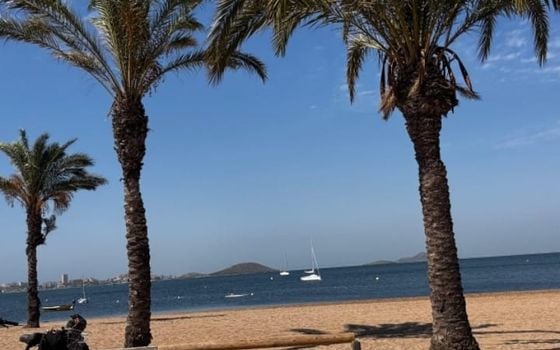1 bedroom Apartment in La Manga - TT114983 - Photo - Small - 14