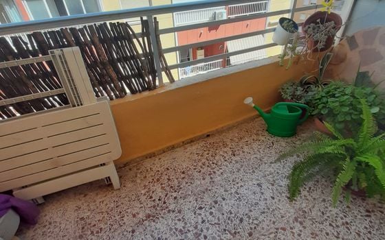 Appartement de 3 chambres à Torrevieja - TT114986 - Photo - Small - 13