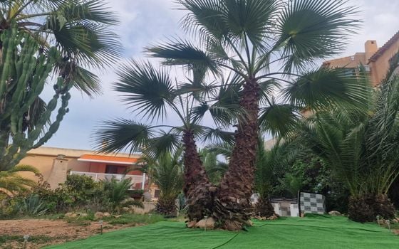 2 bedroom Bungalow in Torrevieja - VEC115177 - Photo - 1