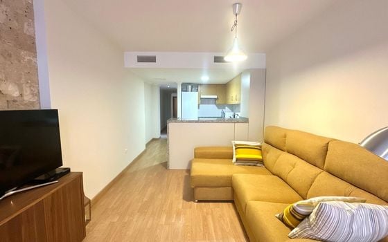 Appartement de 2 chambres à Torrevieja - CT115547 - Photo - 3