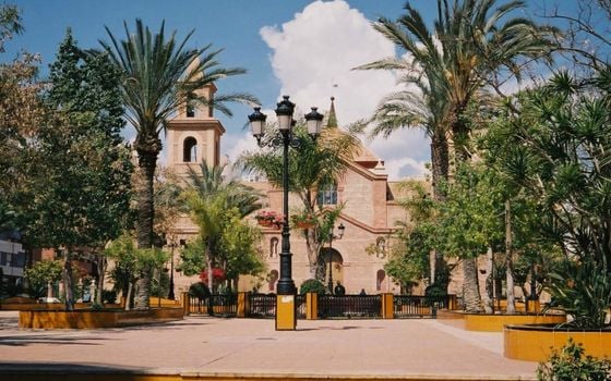 2 bedroom Apartment in Torrevieja - SV116195 - Photo - Small - 36