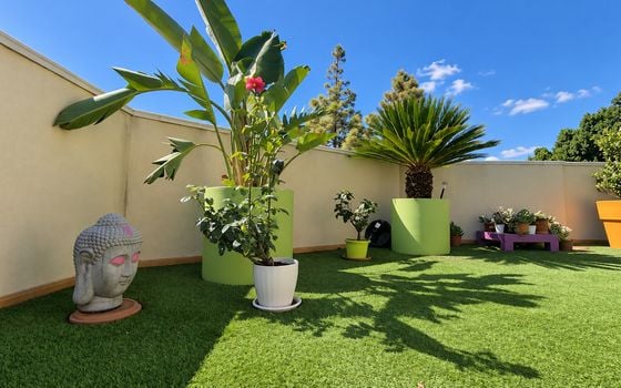 Penthouse   v Pilar de la Horadada, 4 ložnice - SPH159099 - Foto - Small - 48