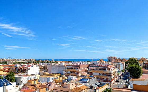 2 bedroom Apartment in Torrevieja - SIS159125 - Photo - 4