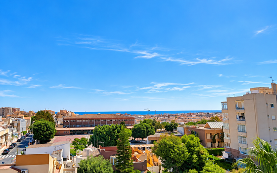 2 bedroom Apartment in Torrevieja - SIS159125 - Photo - Small - 18