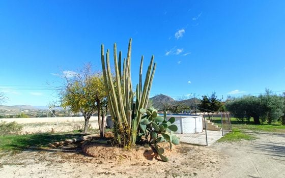 Villa   v Hondón de los Frailes, 4 ložnice - CNM155705 - Foto - Small - 20