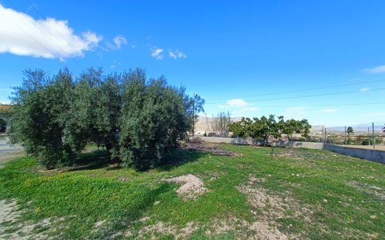 Villa   v Hondón de los Frailes, 4 ložnice - CNM155705 - Foto - Small - 25