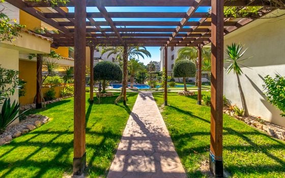 2 bedroom Apartment in Torrevieja - B135926 - Photo - Small - 30