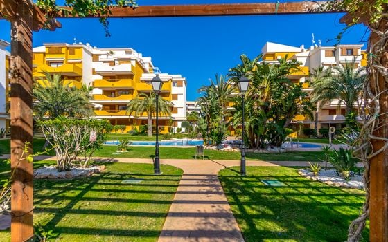2 bedroom Apartment in Torrevieja - B135926 - Photo - Small - 31