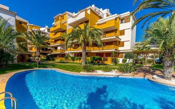 2 bedroom Apartment in Torrevieja - B135926 - Photo - Small - 34