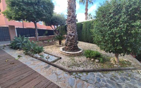 Villa de 3 chambres à Murcia - SPB117187 - Photo - Small - 10