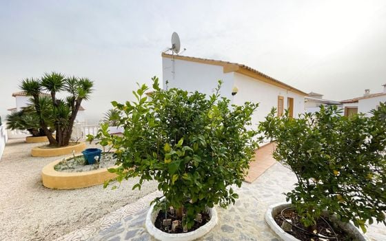 Villa de 4 chambres à Calp - IMBR117219 - Photo - Small - 33