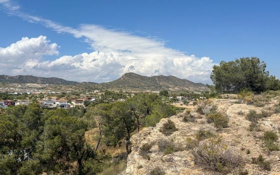 4 bedroom Villa in Murcia - THE159971 - Photo - 5