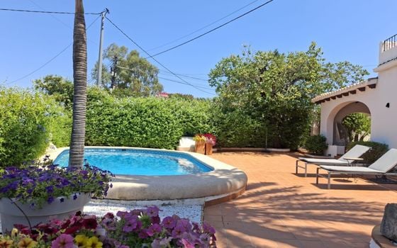 Villa de 3 chambres à Denia - DINV117477 - Photo - 3