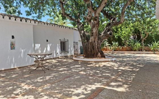 Villa de 3 chambres à Denia - DINV117477 - Photo - Small - 44