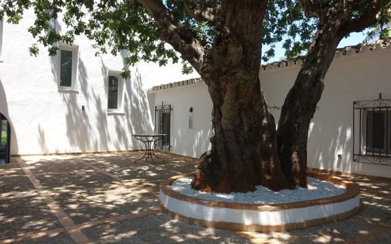 Villa de 3 chambres à Denia - DINV117477 - Photo - Small - 43
