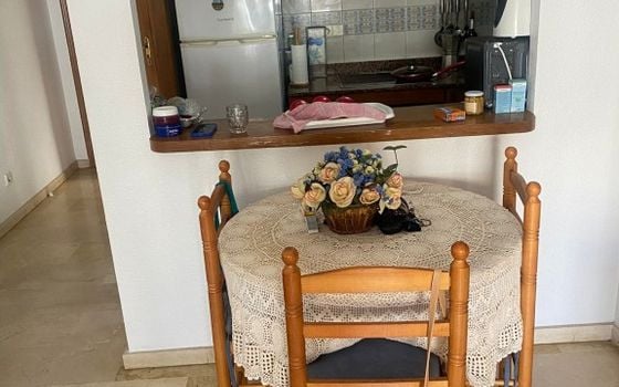 1 bedroom Penthouse in Torrevieja - DMS117665 - Photo - 3