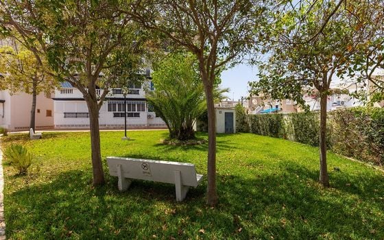 2 bedroom Townhouse in La Mata - TWTG160638 - Photo - 4