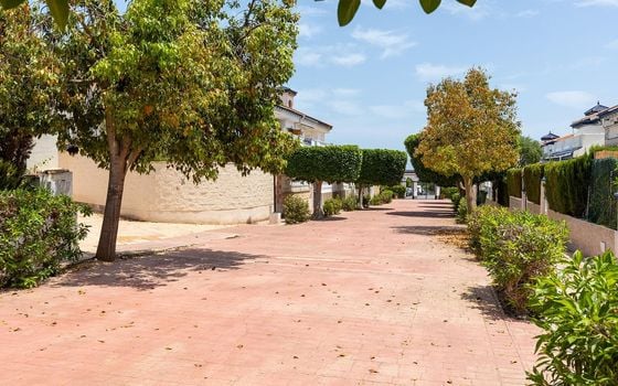 2 bedroom Townhouse in La Mata - TWTG160638 - Photo - Small - 34