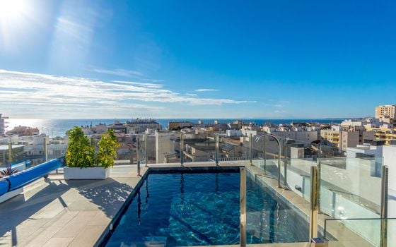 2 bedroom Apartment in Torrevieja - CI118105 - Photo - Small - 24