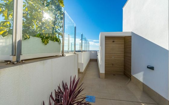 2 bedroom Apartment in Torrevieja - CI118105 - Photo - Small - 29