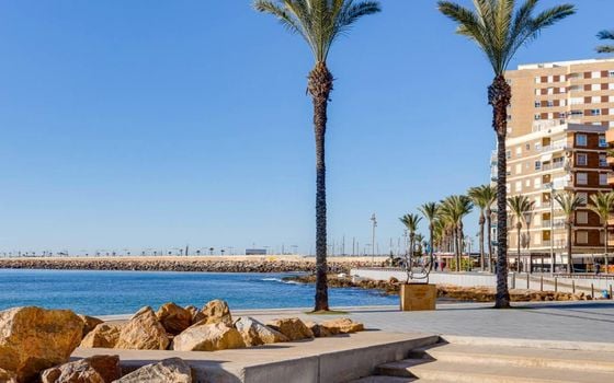 3 bedroom Penthouse in Torrevieja - SV135351 - Photo - Small - 34