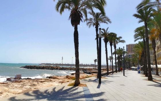 Appartement de 2 chambres à Torrevieja - SV152933 - Photo - Small - 32