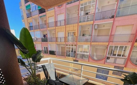 Appartement de 2 chambres à Torrevieja - SV119137 - Photo - Small - 14