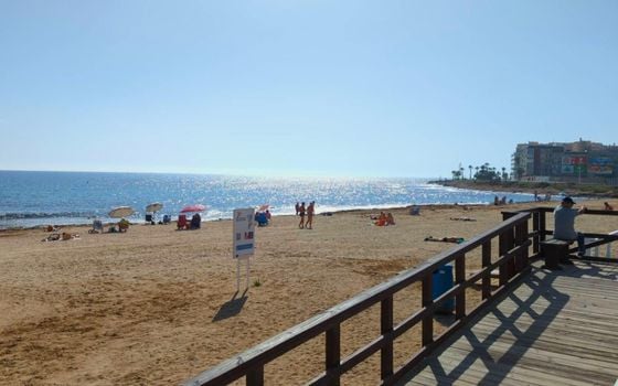 Appartement de 2 chambres à Torrevieja - SV119137 - Photo - Small - 23