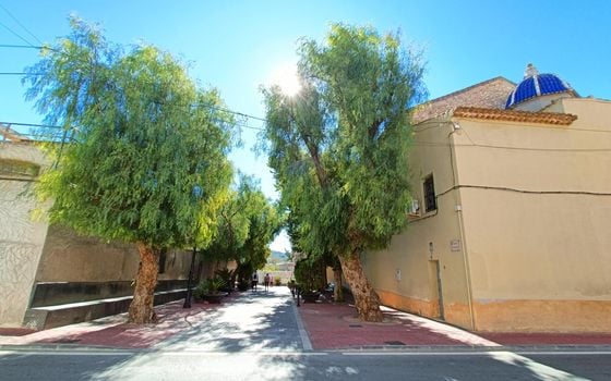 Villa de 4 chambres à Hondón de los Frailes - CNM119349 - Photo - Small - 38