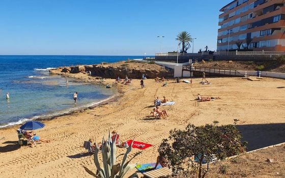 2 bedroom Apartment in Torrevieja - SV136567 - Photo - Small - 34