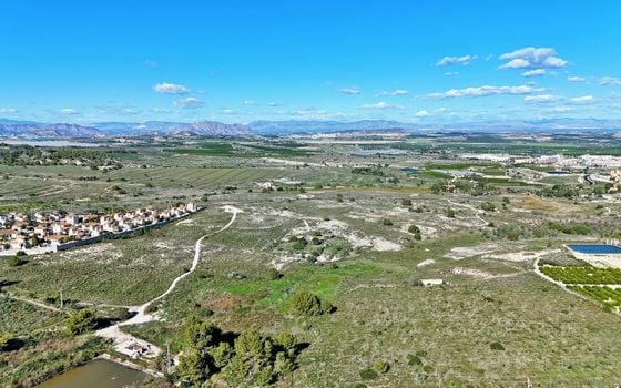 Parcela de  en San Miguel de Salinas- VC119715 - Foto - Small - 8