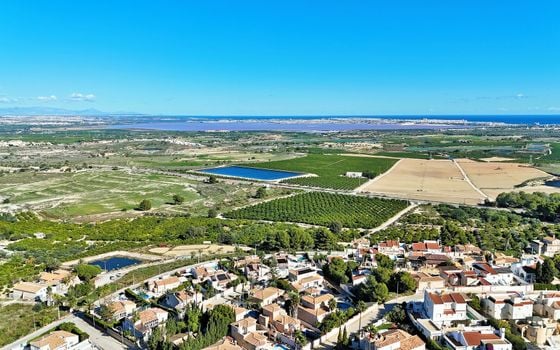 Parcela de  en San Miguel de Salinas- VC119715 - Foto - Small - 6