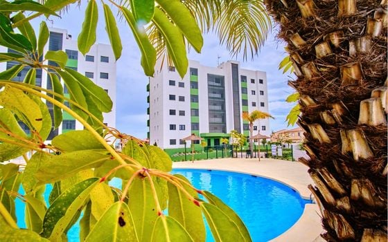 Apartamento de 2 habitaciones en Mil Palmeras - ET120902 - Foto - Small - 2