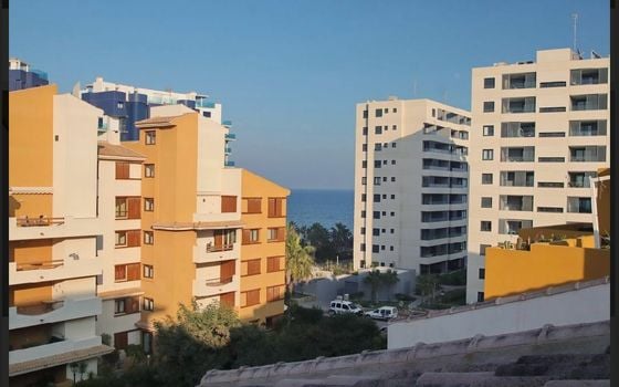 3 bedroom Apartment in Torrevieja - ET120915 - Photo - Small - 27