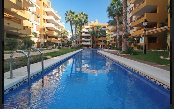 3 bedroom Apartment in Torrevieja - ET120915 - Photo - Small - 29