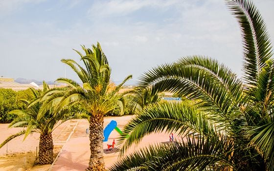 2 bedroom Apartment in Torrevieja - ET120962 - Photo - Small - 17