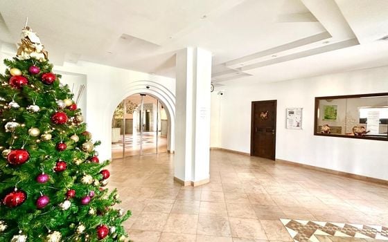 1 bedroom Apartment in Torrevieja - CT122053 - Photo - Small - 40