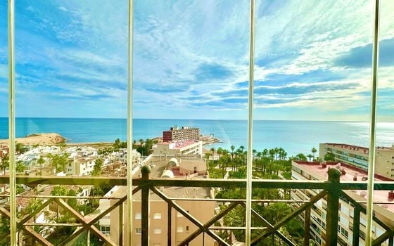 1 bedroom Apartment in Torrevieja - CT122053 - Photo - Small - 37