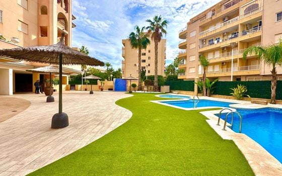 1 bedroom Apartment in Torrevieja - CT122053 - Photo - Small - 43
