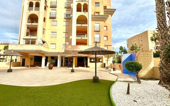 Appartement de 1 chambre à Torrevieja - CT122053 - Photo - 4