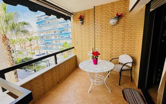 3 bedroom Apartment in Torrevieja - SV122216 - Photo - 1