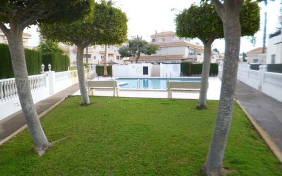 Villa de 3 chambres à Playa Flamenca - SMS122302 - Photo - Small - 21