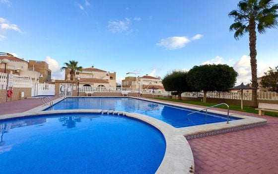 Bungalow de 2 chambres à Torrevieja - CT122889 - Photo - Small - 35