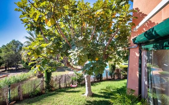 2 bedroom Apartment in Finestrat - DJP123202 - Photo - Small - 23