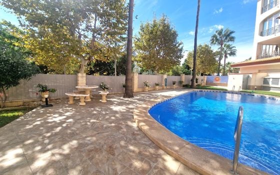 2 bedroom Apartment in Albir - DJP123207 - Photo - Small - 24
