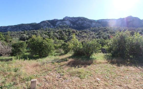 Vilă cu 3 dormitoare în Alcalalí - PGP123278 - Imagini - Small - 18
